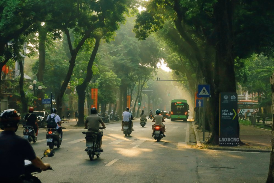 Một góc phố Hà Nội nhìn qua những hàng cây (Ảnh minh họa)