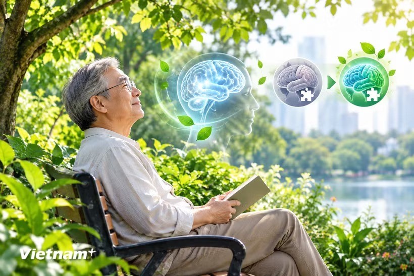 Người cao tuổi sống gần cây xanh có nguy cơ sa sút trí tuệ thấp hơn