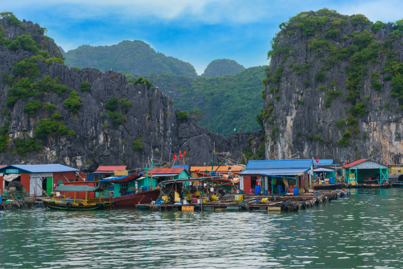 Ảnh: Shutterstock