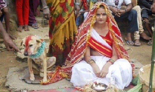 Sự thật bất ngờ về chuyện người kết hôn với... chó