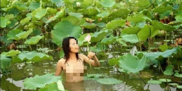 Phản cảm bộ ảnh thiếu nữ khỏa thân giữa đầm sen