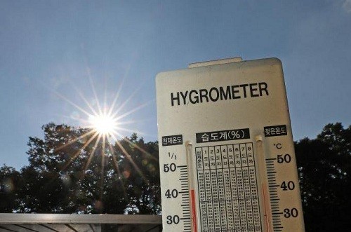 Nhiệt độ ngoài trời có lúc lên tới hơn 40 độ C tại Yeongcheon, thị trấn thuộc tỉnh North Gyeongsang, đông nam Hàn Quốc - Ảnh: Yonhap