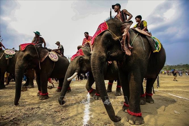 Lễ hội voi Tây Nguyên. Ảnh tư liệu: Trọng Đạt/TTXVN