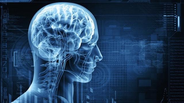 Phát hiện mới về cách hoạt động của não người