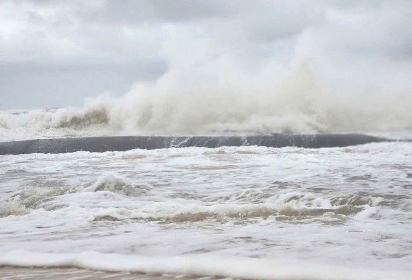 Dự báo từ nay đến ngày 10/12, khu vực Biển Đông có khả năng xuất hiện 1-2 cơn bão, áp thấp nhiệt đới.