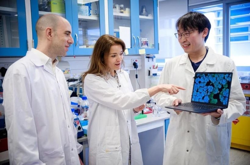 Nhóm các nhà khoa học do Phó Giáo sư Guillaume Thibault (trái) của Đại học Công nghệ Nanyang (NTU) dẫn đầu, bao gồm cả giáo sư thỉnh giảng Kimberly Kline (giữa) của Đại học Geneva và nghiên cứu sinh Aaron Tan của NTU. (Ảnh: NTU)