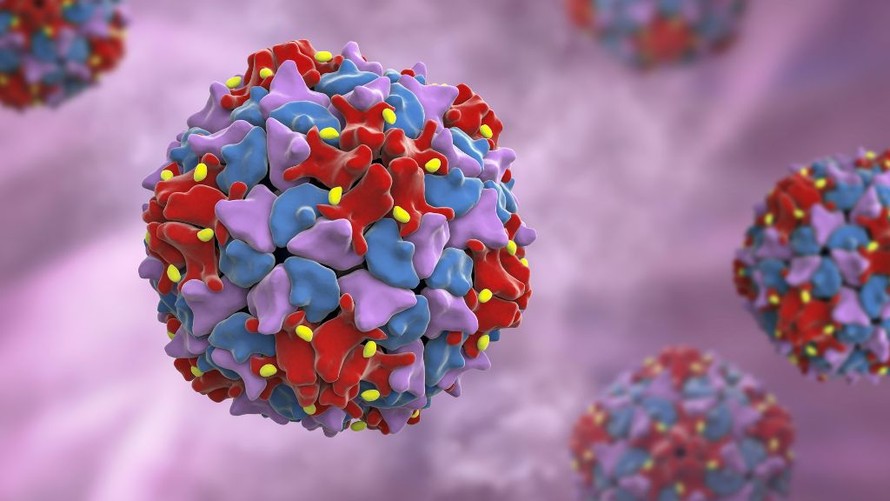 Australia phát hiện virus bại liệt trong nước thải sau hơn nửa thế kỷ