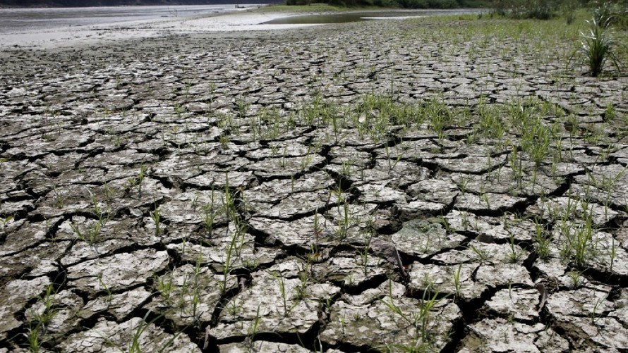 Nỗi lo siêu El Nino bao trùm châu Á, đe dọa lương thực và kinh tế khu vực