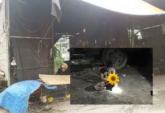 Camera giúp bắt sống trộm khỏa thân đột nhập chuồng gà