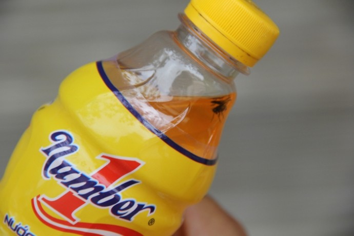 Vụ việc Tân Hiệp Phát: Xét nghiệm ruồi sẽ có kết quả!?