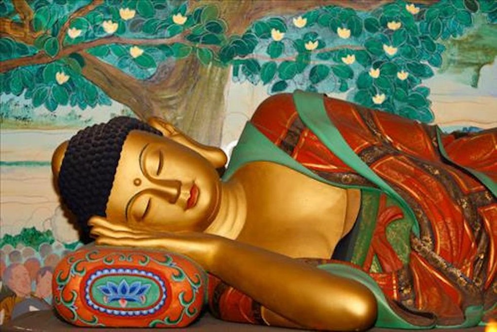 Suốt hơn 40 năm hành đạo, Đức Phật chưa bao giờ xem bản thân mình là người thống lĩnh Tăng đoàn.