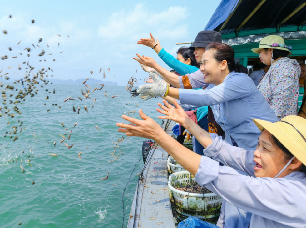 Phóng sinh là tốt nhưng phải biết cách.