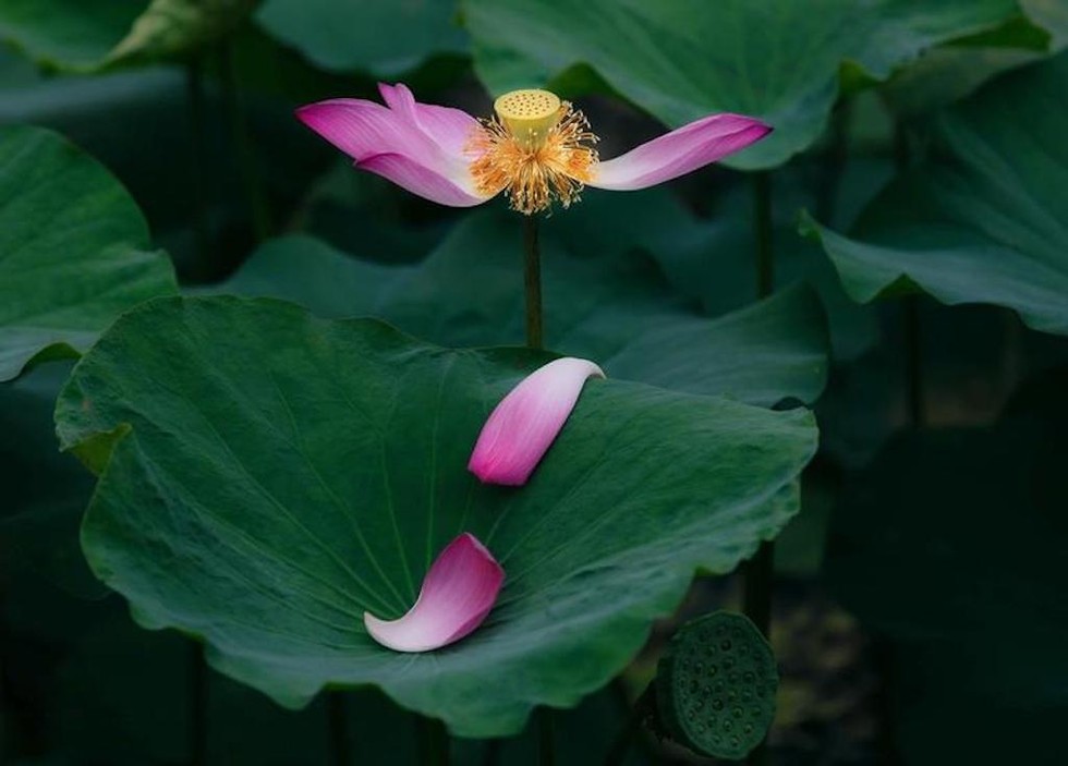 Tám quy tắc ngầm trong giao tế