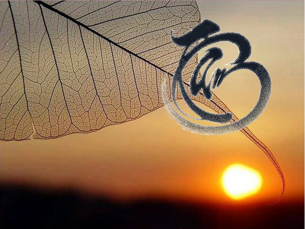 Tu tâm là thế nào? Tại sao phải tu tâm?