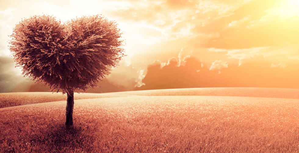 5 góc nhìn về buông bỏ để hạnh phúc