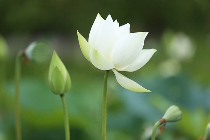 Có những ngày sống thôi đã là chuyện phi thường