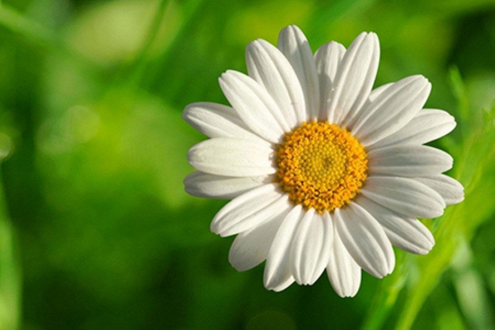 Biết vui một mình!