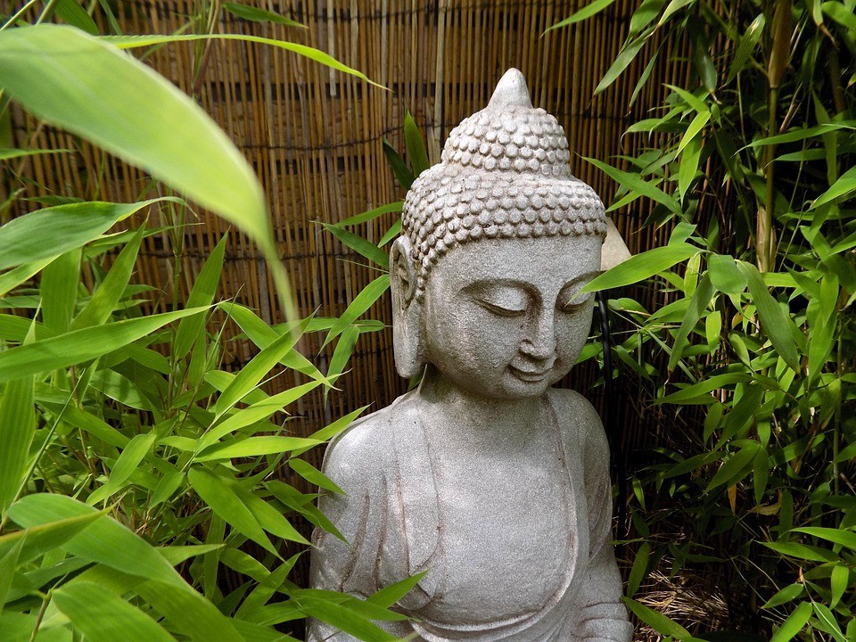 Đau khổ không đến để làm tổn thương bạn