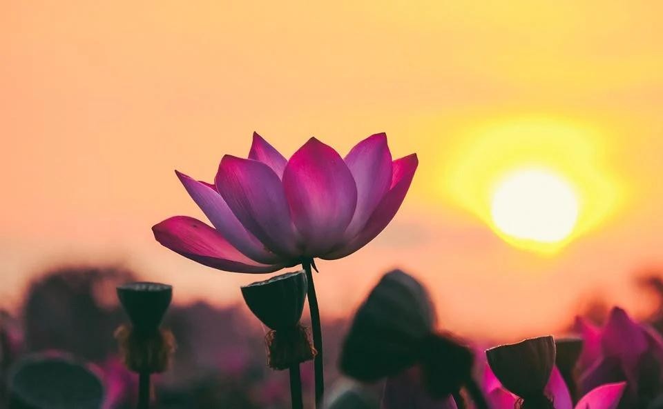 An trong cõi bất an