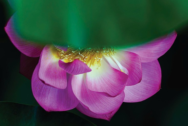 Không cần hoàn hảo