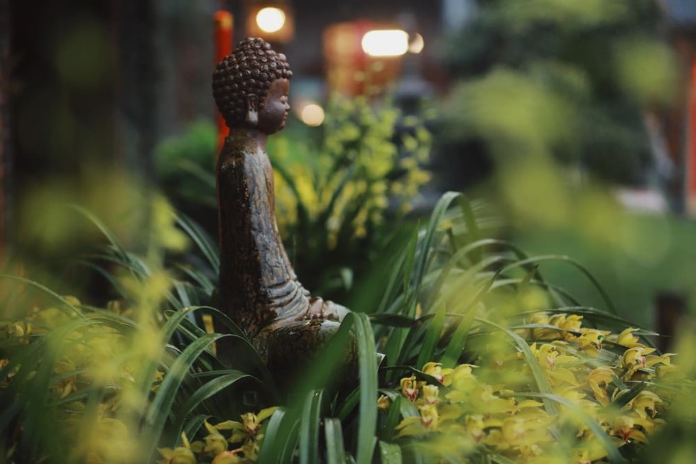 Đức hạnh hay công danh và tiền bạc cao hơn?