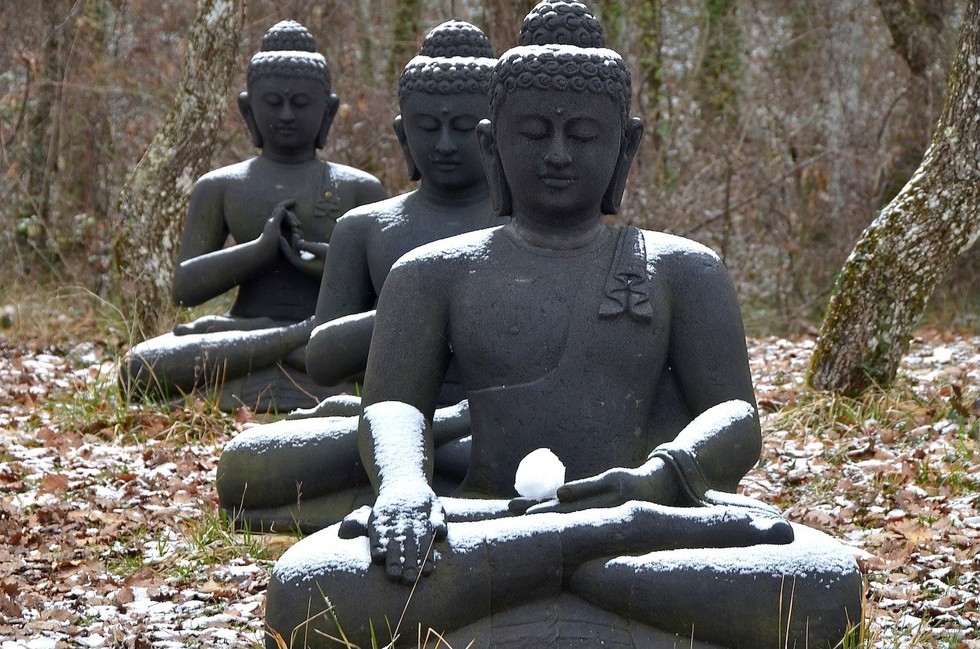 Vun bồi hạt giống chánh niệm