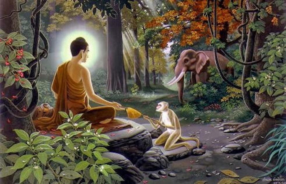 Bố thí cúng dường cho người có tâm hạnh càng thiện thì phước báu càng lớn, không kể đó là xuất gia hay tại gia.