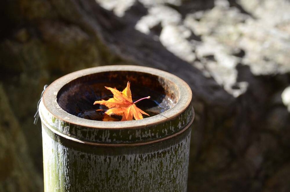 Đừng để tâm bất thiện xô ngã ta vào những nỗi đau dài