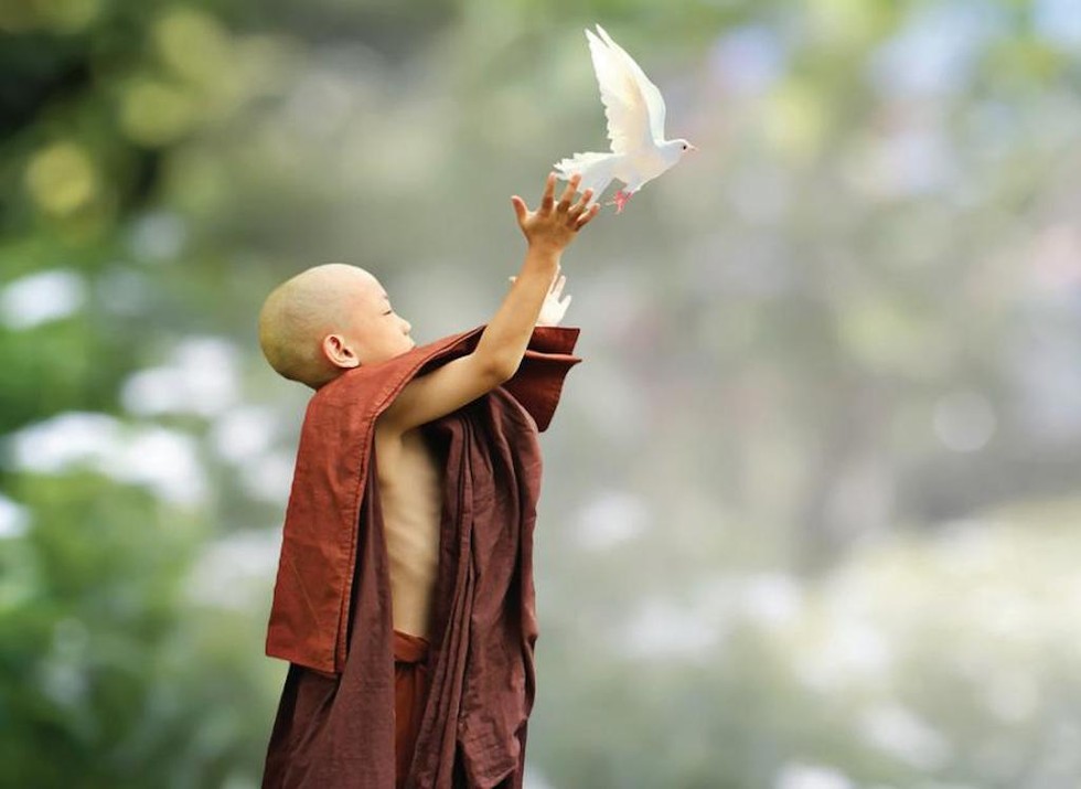 Hãy thương quý mạng sống chúng sinh