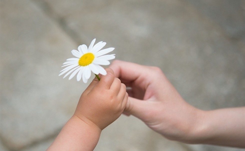 Lời nguyện tốt nhất mỗi buổi sáng chính là lời biết ơn