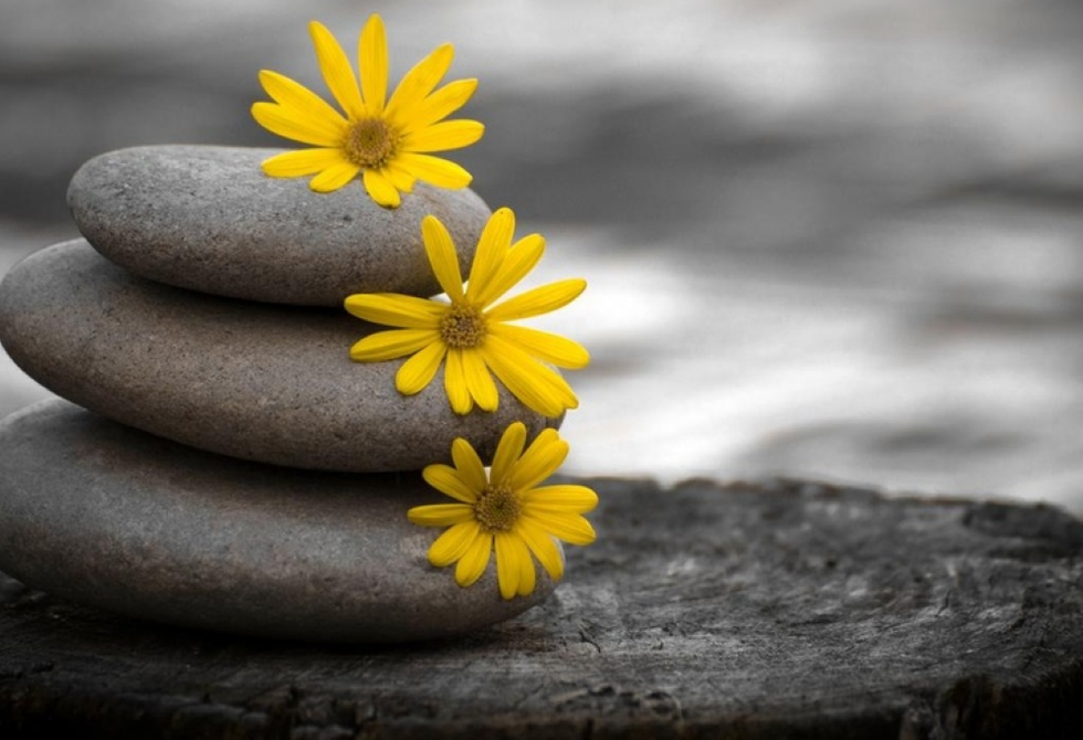 Tâm nóng giận làm hại đời ta