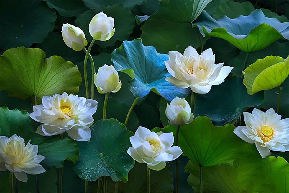 Muốn thương yêu ai, trước hết hãy biết cách thương mình