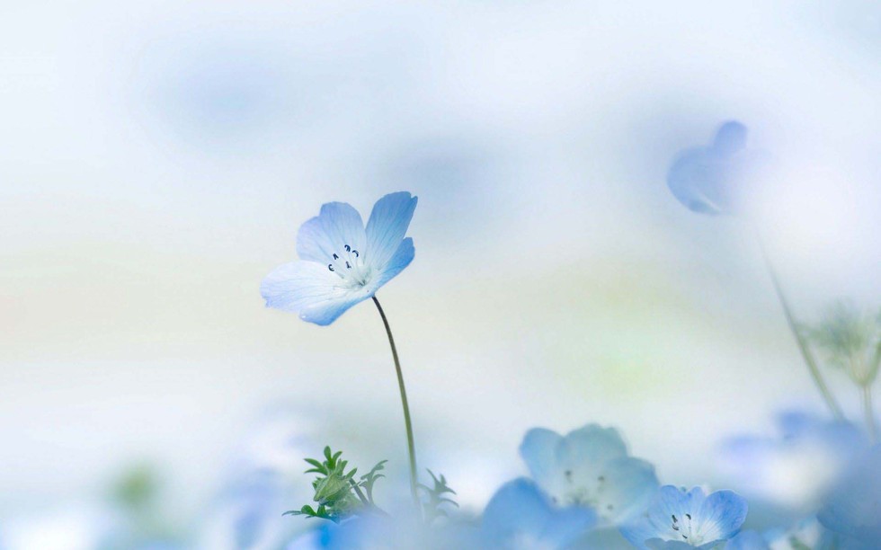 Học tập cách sống tốt