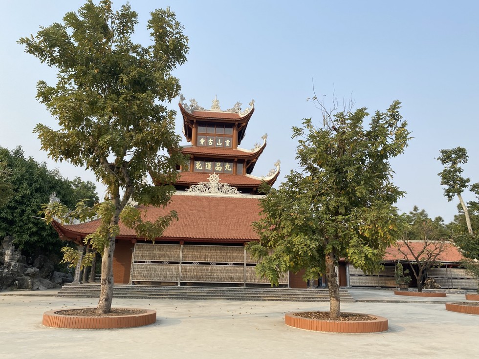 Cây tùng cổ 700 tuổi tỏa bóng mát che chùa Linh Sơn