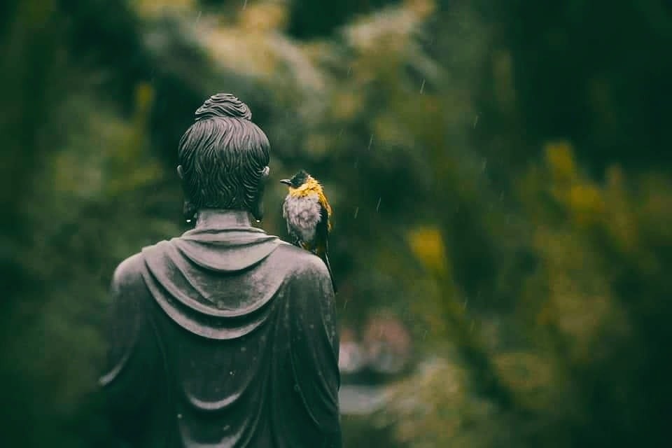 Hành trang cho già bệnh