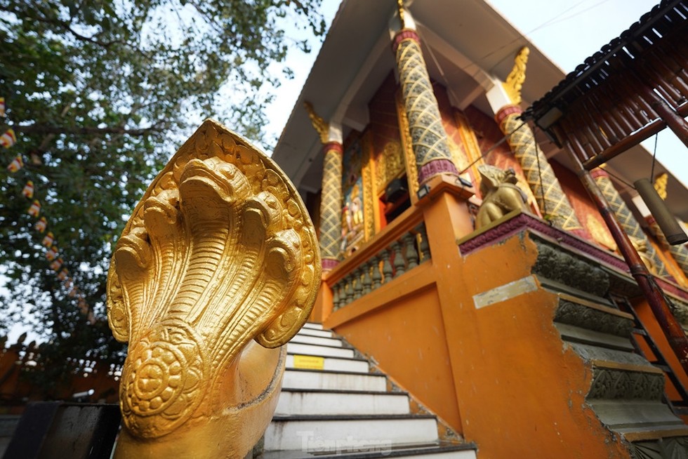 Độc đáo ngôi chùa ở TP HCM với nhiều tượng rắn