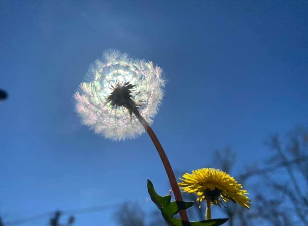 Đừng mong cuộc sống bớt đi khó khăn, hãy mong mình trở nên mạnh mẽ hơn