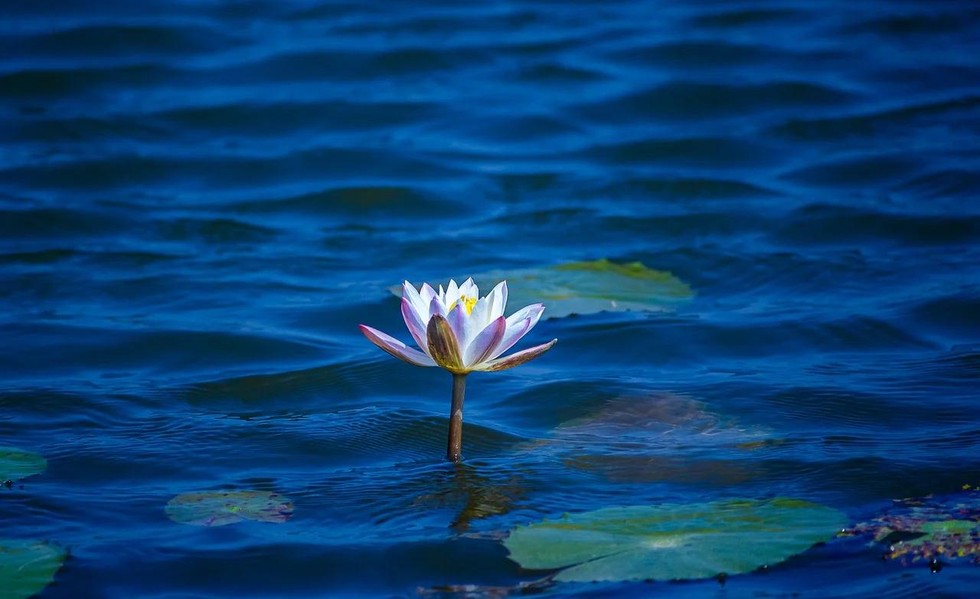 Dựa vào chính mình